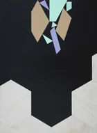Set 5 (Magnetise) 2010<br>Acrylic on MDF, 112 × 83cm
